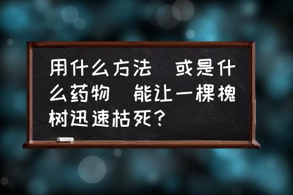 槐树怎么快速枯萎 用什么方法(或是什么药物)能让一棵槐树迅速枯死？