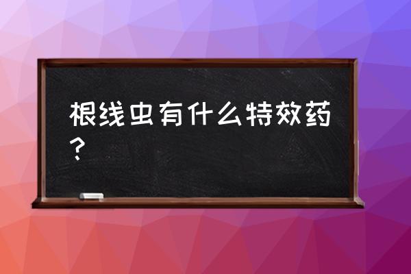 根结线虫防治最好的药 根线虫有什么特效药？