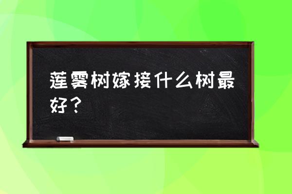 金刚莲雾果可以整个吃吗 莲雾树嫁接什么树最好？