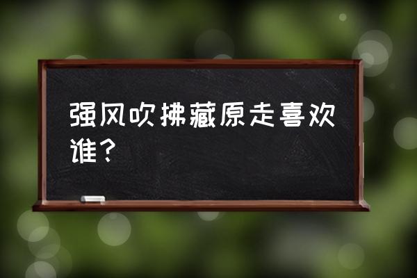 强风吹拂叶菜到底喜欢谁 强风吹拂藏原走喜欢谁？