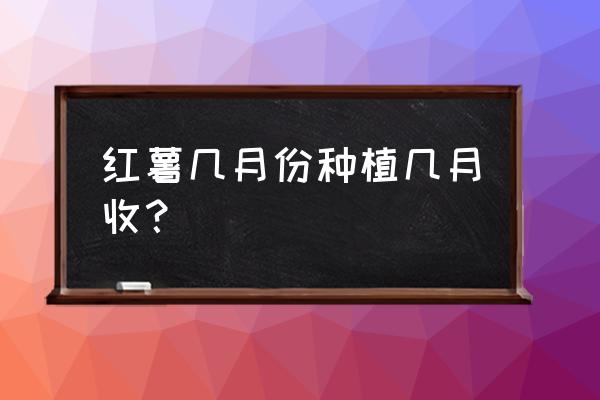 红薯什么时候种植什么时候收获 红薯几月份种植几月收？