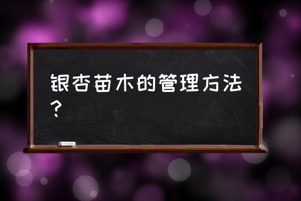 银杏树苗春天怎么催芽 银杏苗木的管理方法？