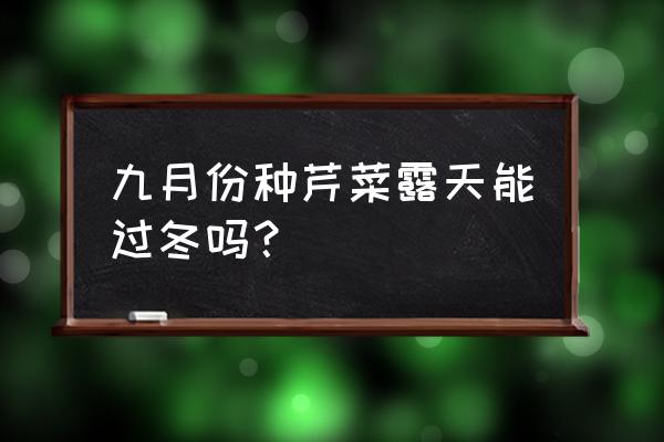 冬天来了芹菜如何管理 九月份种芹菜露天能过冬吗？