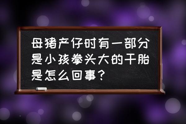 东北干老母猪耳朵怎么做 母猪产仔时有一部分是小孩拳头大的干胎是怎么回事？