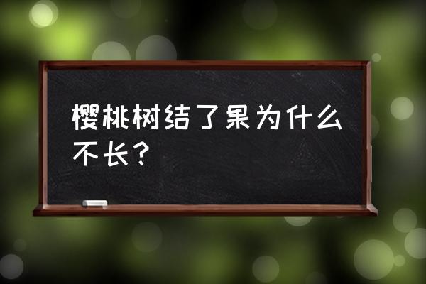 树怎么种得更好才结果子 樱桃树结了果为什么不长？