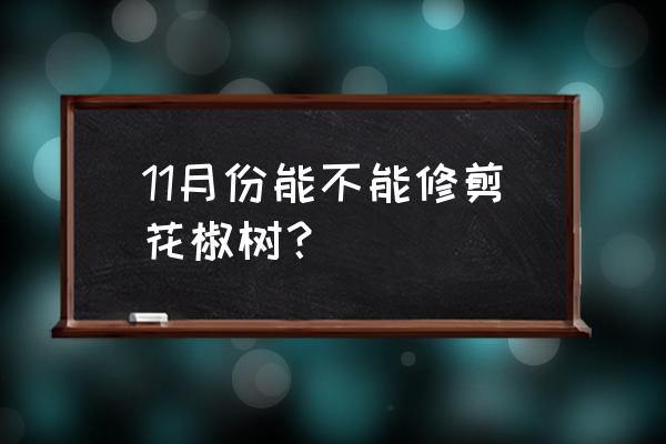 花椒树几月修剪最好 11月份能不能修剪花椒树？