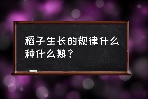 水稻生长的最简单方法 稻子生长的规律什么种什么熟？