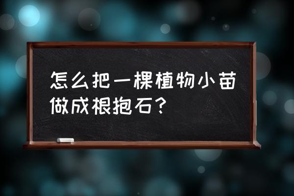 我的世界合成泥土 怎么把一棵植物小苗做成根抱石？