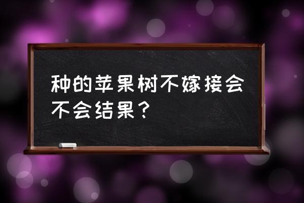 苹果种子可以种成苹果树吗 种的苹果树不嫁接会不会结果？