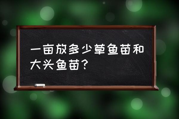 网箱养草鱼的最佳位置 一亩放多少草鱼苗和大头鱼苗？