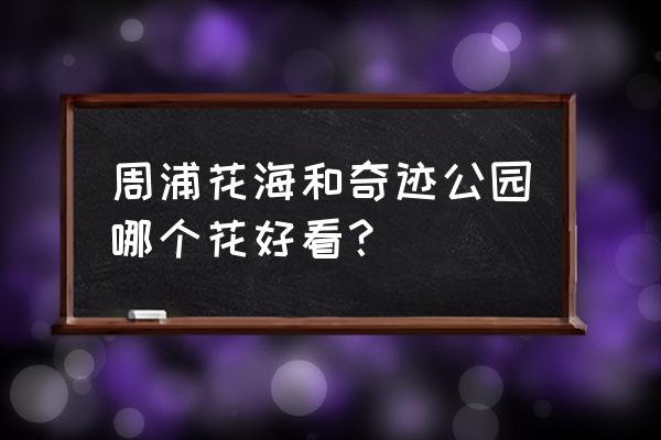 上海周浦花海生态园必去三大景点 周浦花海和奇迹公园哪个花好看？