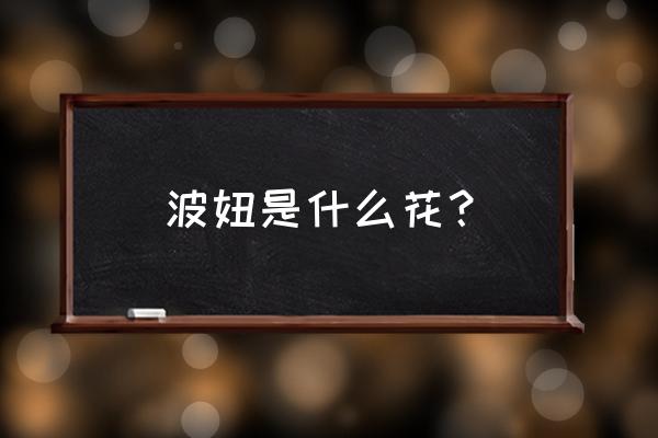 如何学会唱波妞和宗介 波妞是什么花？