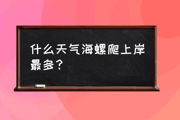 冬天海边捡的海螺怎么做好吃 什么天气海螺爬上岸最多？