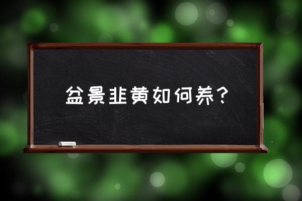 黄韭盆景收割一茬后怎样管理 盆景韭黄如何养？