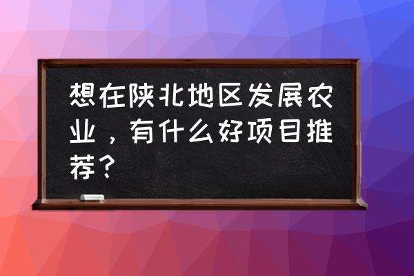 具影响力的新农业品牌策划有哪些 想在陕北地区发展农业，有什么好项目推荐？