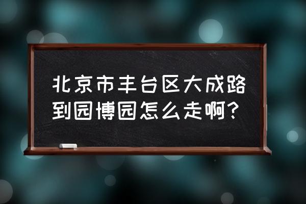 游北京世界园博会攻略 北京市丰台区大成路到园博园怎么走啊？