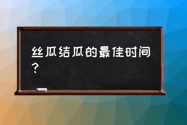 八棱瓜怎么管理才能结瓜多 丝瓜结瓜的最佳时间？