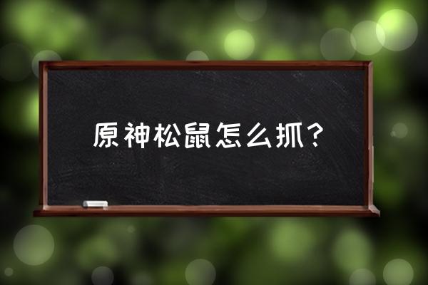 原神雪山松鼠位置 原神松鼠怎么抓？