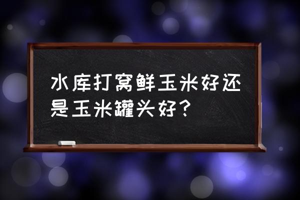 煮玉米用什么玉米最好 水库打窝鲜玉米好还是玉米罐头好？