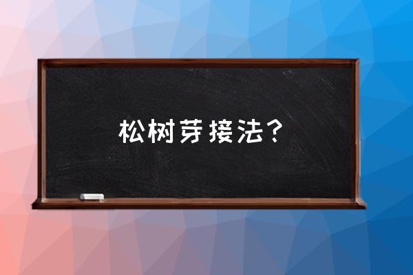 松树嫁接用什么方法最好 松树芽接法？