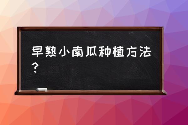 正宗南瓜的种植方法 早熟小南瓜种植方法？