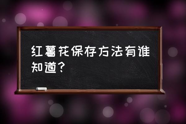 红薯花开完花需要剪掉吗 红薯花保存方法有谁知道？