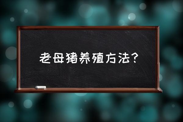 母猪养殖的技术和管理平台 老母猪养殖方法？