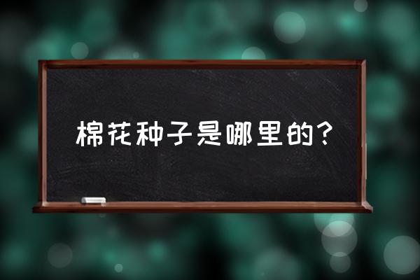 棉花种子的传播方式 棉花种子是哪里的？