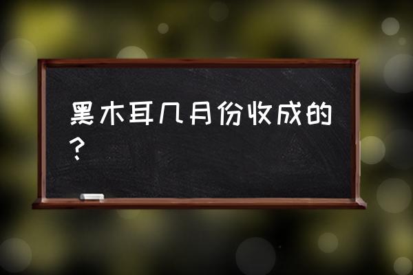 木耳菜一年四季都可收成吗 黑木耳几月份收成的？