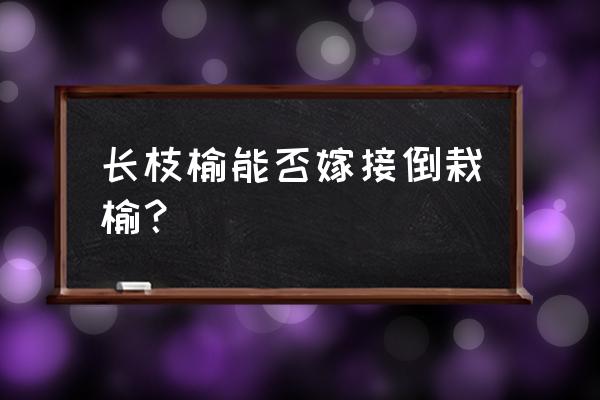 榆树嫁接时间与方法 长枝榆能否嫁接倒栽榆？