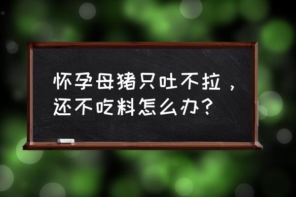 猪胃溃疡不治能好吗 怀孕母猪只吐不拉，还不吃料怎么办？