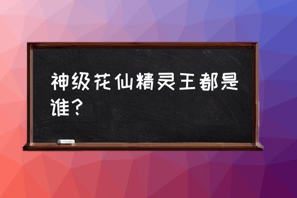 小花仙2季所有花仙精灵王 神级花仙精灵王都是谁？