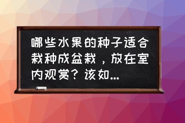 自己家种的水果怎么种 哪些水果的种子适合栽种成盆栽，放在室内观赏？该如何养护？