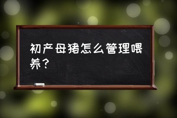 母猪全套管理技术 初产母猪怎么管理喂养？