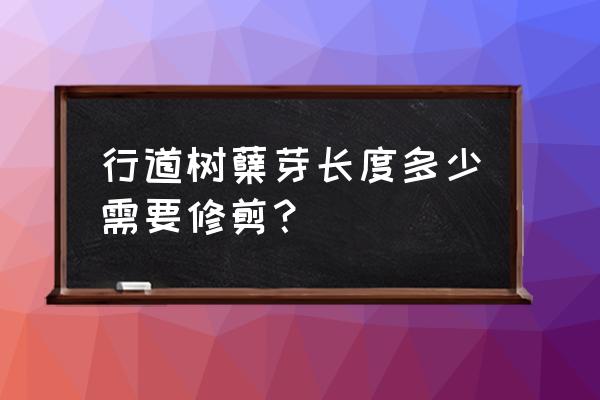 绿化苗木修剪一般在哪一月 行道树蘖芽长度多少需要修剪？