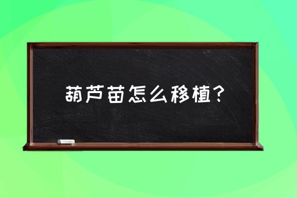 怎么让葫芦苗快速长 葫芦苗怎么移植？