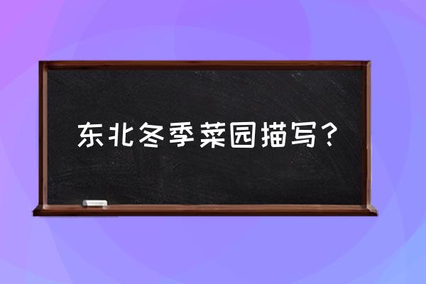 冬天小菜园菜谱大全 东北冬季菜园描写？