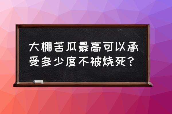 大棚种植苦瓜的方法 大棚苦瓜最高可以承受多少度不被烧死？