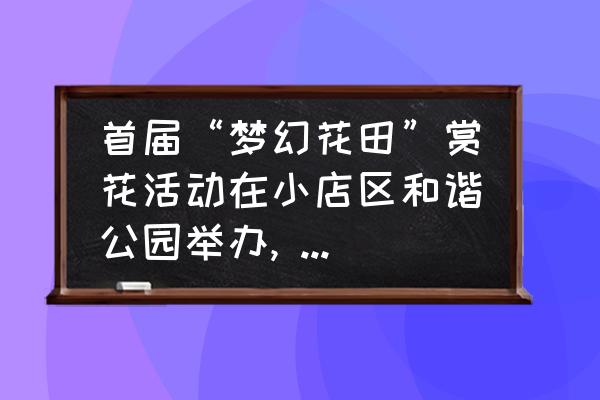 太原最全赏花排期值得收藏 首届“梦幻花田”赏花活动在小店区和谐公园举办, 你怎么看？