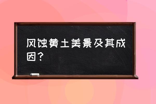 图集谷入口 风蚀黄土美景及其成因？