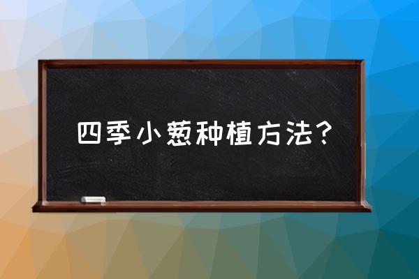 小葱种植方法和最佳时间 四季小葱种植方法？