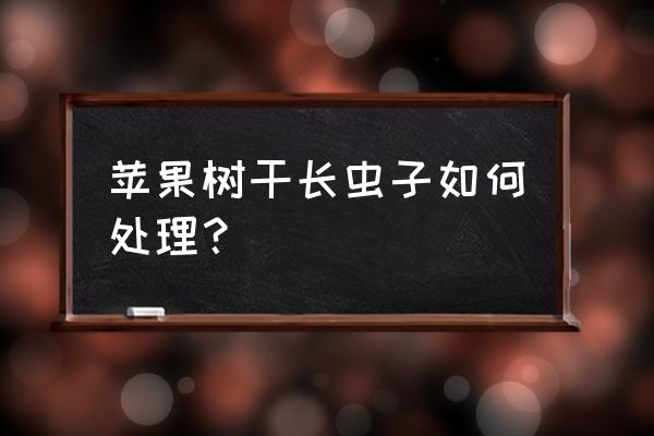 树枝昆虫模型制作方法 苹果树干长虫子如何处理？