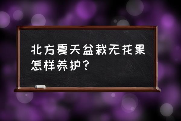 北方适合哪种无花果种植 北方夏天盆栽无花果怎样养护？