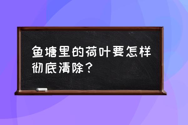 鱼塘里的藕怎么处理好 鱼塘里的荷叶要怎样彻底清除？