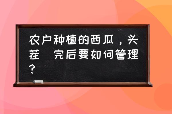 种植西瓜一个坑几棵苗 农户种植的西瓜，头茬釆完后要如何管理？