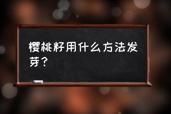 樱桃核可以发芽做盆栽吗 樱桃籽用什么方法发芽？