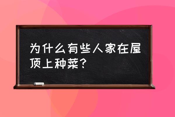 种菜初学者入门 为什么有些人家在屋顶上种菜？