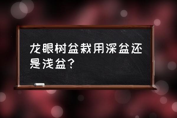 一月份龙眼怎么管理 龙眼树盆栽用深盆还是浅盆？