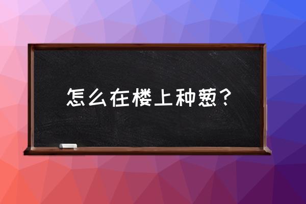 阳台种大葱的正确方法 怎么在楼上种葱？