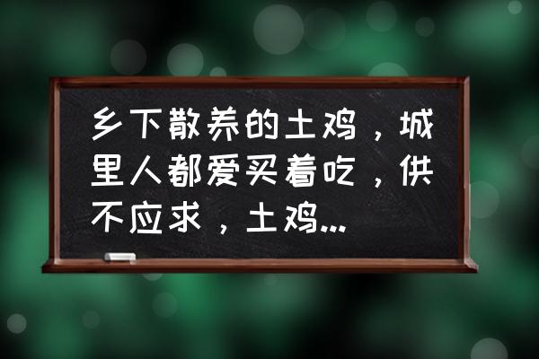 养鸡技术新手入门教程 乡下散养的土鸡，城里人都爱买着吃，供不应求，土鸡到底该如何养？